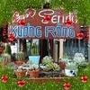nguynngoclansucculents