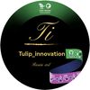 tulip_innovation