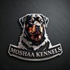 moshaa_kennels007