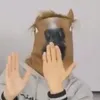 hannieshorsemask