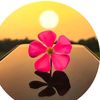 kazisharmin.80