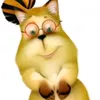 chapik_774