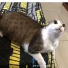 garota_aleatoria_18
