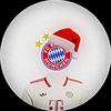 fcbayern_fanno.1