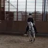 crazy.ponysxx