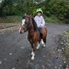 horse_riding657