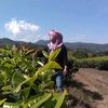 tatangmulyana473