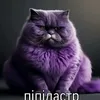 sdfianger