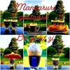 mancarurigustoase