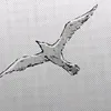 ogonochek0