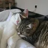 jimmy_38620