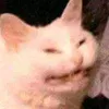 reiferrettich69