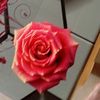 obaapabeauty16