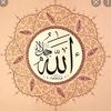 user5ecbzgtsht