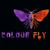 colourfly247