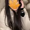 soniael06