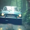 claytonmarques905