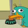 perry_ng_platypus