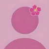 ray_zx04