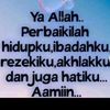 wak_apollo