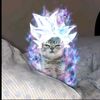 DRAGON BALL_FOREVER