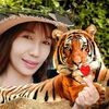 dyy73vpswvttวาสนา ปลูกไม้ล้อม