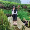 ivaaintani_