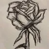 zipnguyen_63