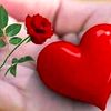 janilovei0