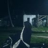 ftmaptry_02