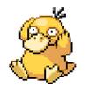 psyduck💛