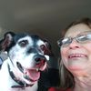 lauriegriffith855