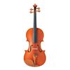 violin032023