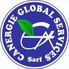 carnegie.global.s