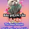kim.cng5584