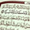 nourmohmad633
