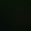 shadowes.1