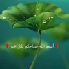user6281692036151