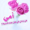 user85s4o73p61
