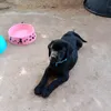 yui_yeontan