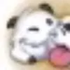 xitzvenx