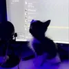 return4moon