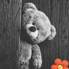 ..s.n.d.i