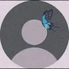 nafisaahmed400