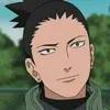 shikamaru.naraofc