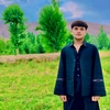 shahehsan001