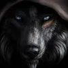 the_dark_wolf89