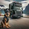 the_dog_who_rode_a_truck