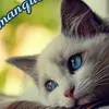 dalilaelmerysy