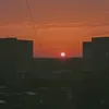 dandelion_at_sunset